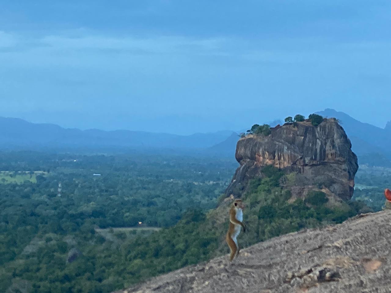 5429b620-23a5-48c8-9fce-41968842ad85