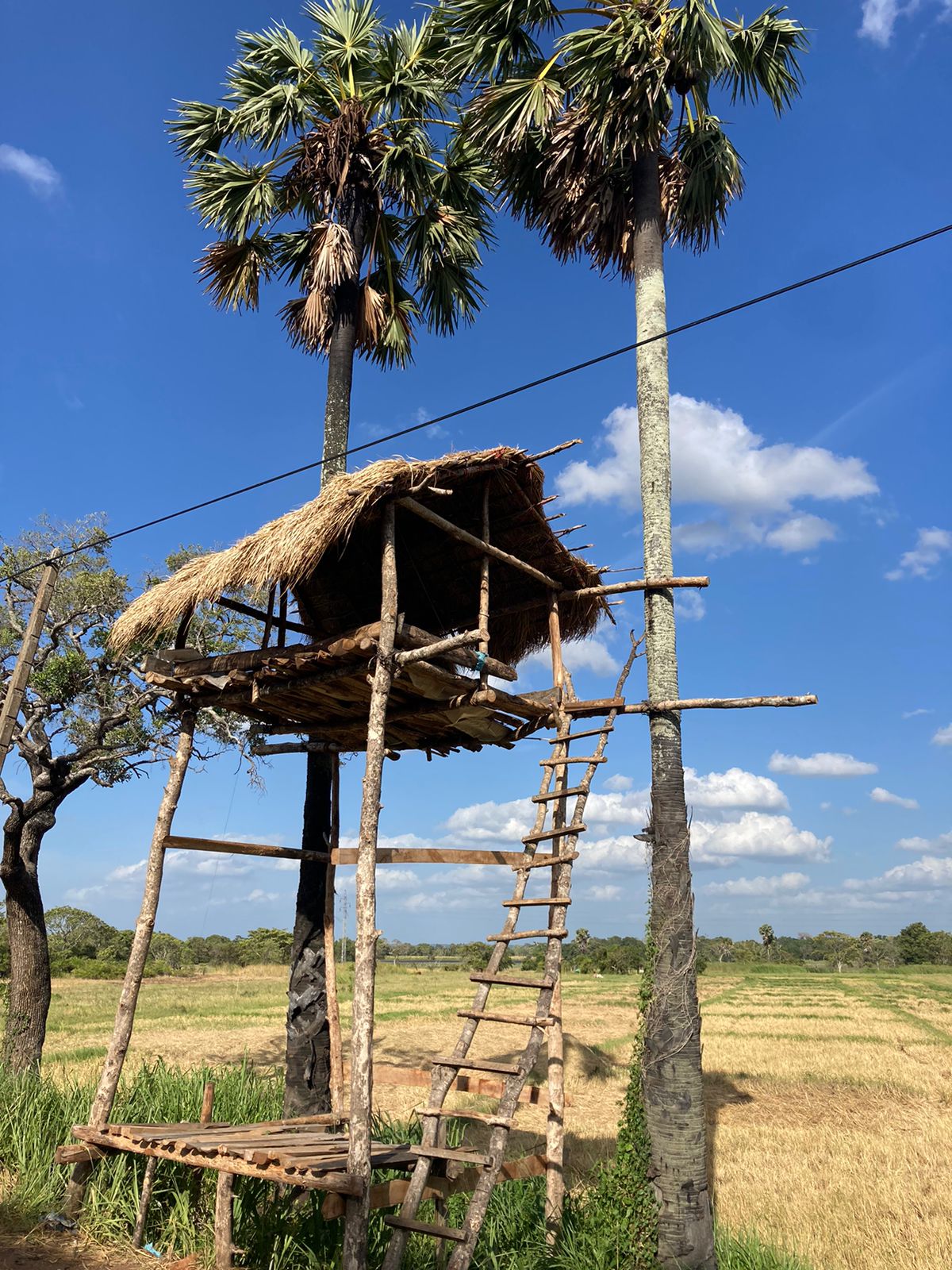 841b7c6c-6109-4b7e-a096-543e227501bf