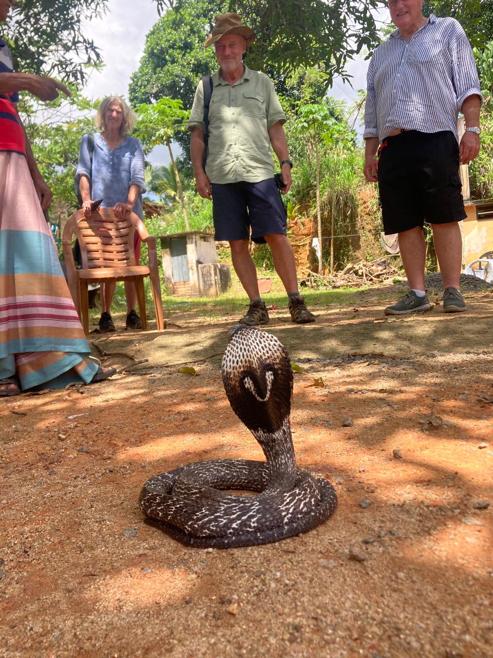 8b4c6649-c175-4cf2-b450-30bf21d4379a